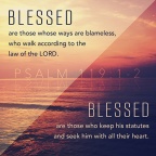 verse image 264 psalm 119.1-2 640x640